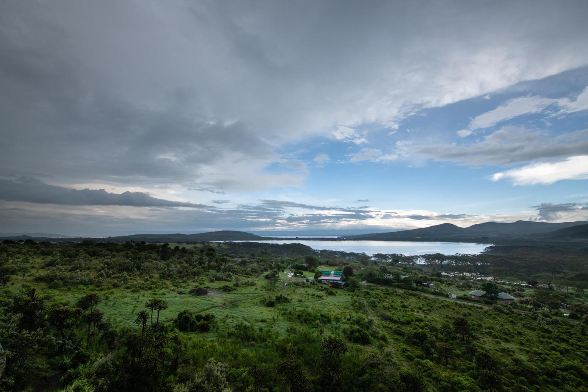 Naivasha Kongoni Lodge - Lakefront Getaway Eksteriør bilde